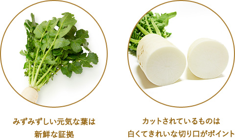 みずみずしい元気な葉は新鮮な証拠 カットされているものは白くてきれいな切り口がポイント