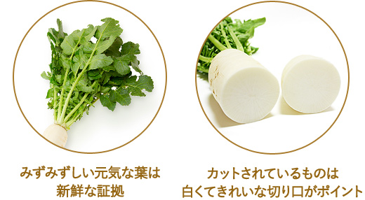 みずみずしい元気な葉は新鮮な証拠 カットされているものは白くてきれいな切り口がポイント