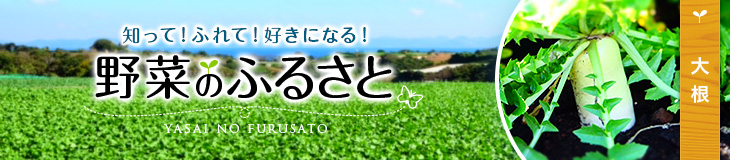 知って！ふれて！好きになる！野菜のふるさと