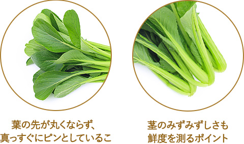 葉の先が丸くならず、真っすぐにピンとしている 茎のみずみずしさも鮮度を測るポイント