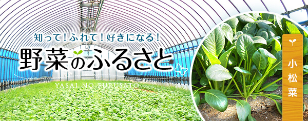 知って！ふれて！好きになる！野菜のふるさと