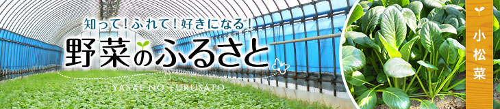 知って！ふれて！好きになる！野菜のふるさと