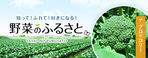 知って！ふれて！好きになる！野菜のふるさと