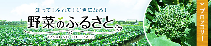 知って！ふれて！好きになる！野菜のふるさと