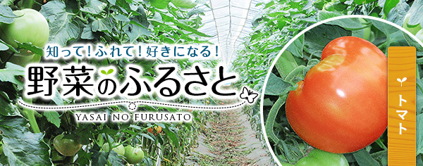 知って！ふれて！好きになる！野菜のふるさと