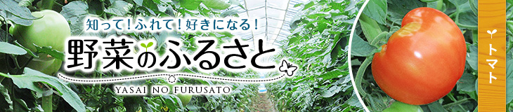 知って！ふれて！好きになる！野菜のふるさと