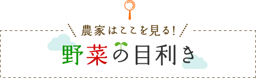 農家はここを見る！野菜の目利き