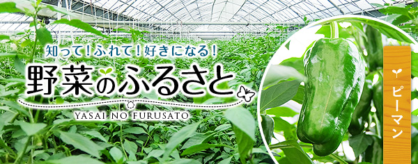 知って！ふれて！好きになる！野菜のふるさと
