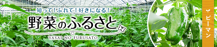 知って！ふれて！好きになる！野菜のふるさと