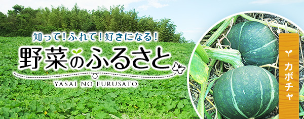 知って！ふれて！好きになる！野菜のふるさと