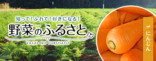 知って！ふれて！好きになる！野菜のふるさと