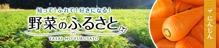 知って！ふれて！好きになる！野菜のふるさと