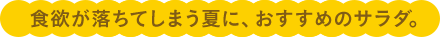 食欲が落ちてしまう夏に、おすすめのサラダ。