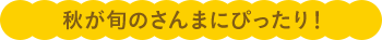 秋が旬のさんまにぴったり！