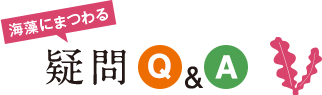 海藻にまつわる疑問Q&A