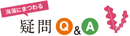 海藻にまつわる疑問Q&A