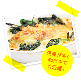 栄養が多く和洋中で大活躍！