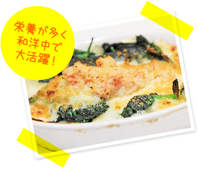 栄養が多く和洋中で大活躍！