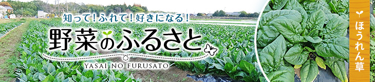 知って！ふれて！好きになる！野菜のふるさと