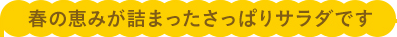 春の恵みが詰まったさっぱりサラダです