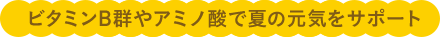 ビタミンB群やアミノ酸で夏の元気をサポート