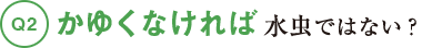 Q2かゆくなければ 水虫ではない？