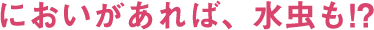 においがあれば、水虫も!?