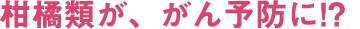 柑橘類が、がん予防に!?