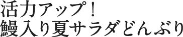 活力アップ!鰻入り夏サラダどんぶり