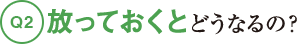 Q2放っておくとどうなるの？