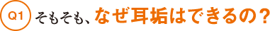 Q1そもそも、なぜ耳垢はできるの？