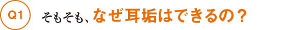 Q1そもそも、なぜ耳垢はできるの？