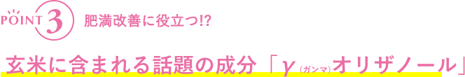 POINT3 肥満改善に役立つ!?玄米に含まれる話題の成分「γ(ガンマ)オリザノール」