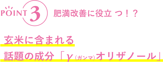 POINT3 肥満改善に役立つ!?玄米に含まれる話題の成分「γ(ガンマ)オリザノール」