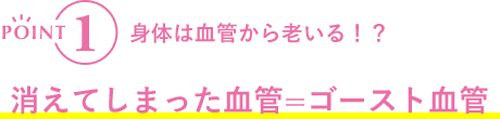 POINT1 身体は血管から老いる！？消えてしまった血管=ゴースト血管