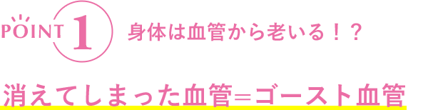 POINT1 身体は血管から老いる！？消えてしまった血管=ゴースト血管