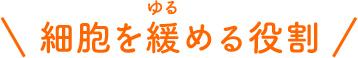 細胞を緩める役割