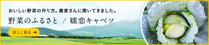 おいしい野菜の作り方。農家さんに聞いてきました。 野菜のふるさと / 嬬恋キャベツ　詳しく見る