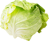 キャベツ