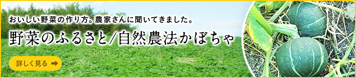 おいしい野菜の作り方。農家さんに聞いてきました。野菜のふるさと/自然農法かぼちゃ 詳しく見る