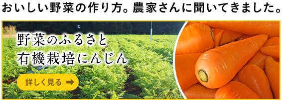おいしい野菜の作り方。農家さんに聞いてきました。野菜のふるさと/有機栽培にんじん  詳しく見る