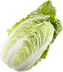 白菜