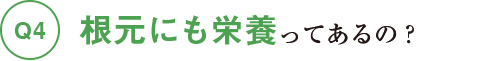 根元にも栄養ってあるの？