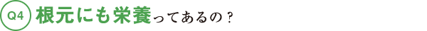 根元にも栄養ってあるの？
