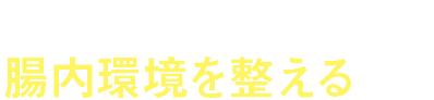 腸内環境を整える食品