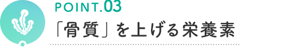 POINT.03 「骨質」を上げる栄養素