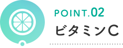 POINT.02 ビタミンC