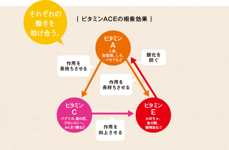 ビタミンACEの相乗効果