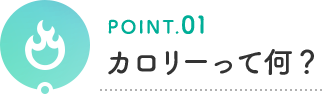POINT.01 カロリーって何?
