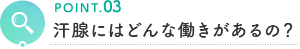 POINT.03 汗腺にはどんな働きがあるの？